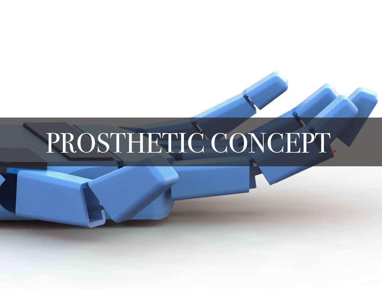 Prosthetic Concept